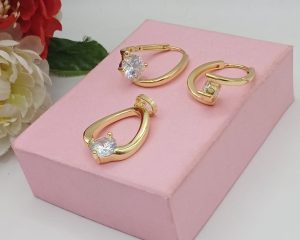 ROIEP0025